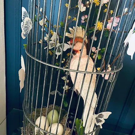 Πανσιόν Troisieme Droite Καόρ