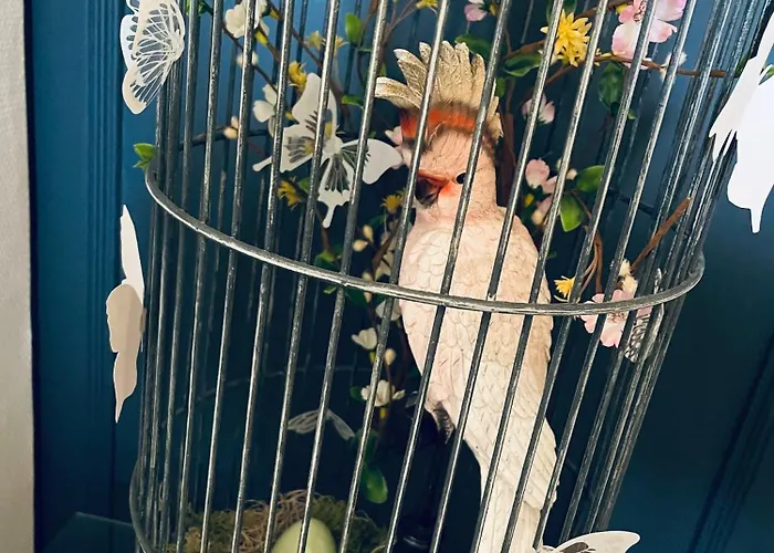 招待所 Troisieme Droite 卡奥尔